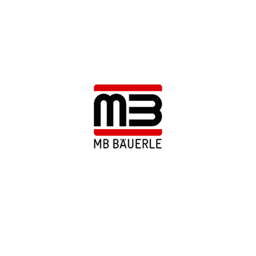 Logo Baumann